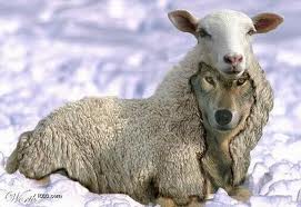 http://reason.landmarkbiblebaptist.net/Evidences/sheep-wolf.jpg